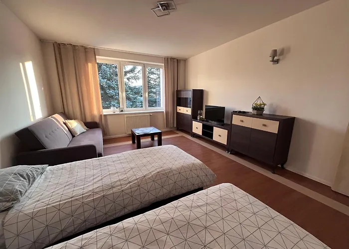 2-pokojowe Przy Molo Z Balkonami Апартаменты *